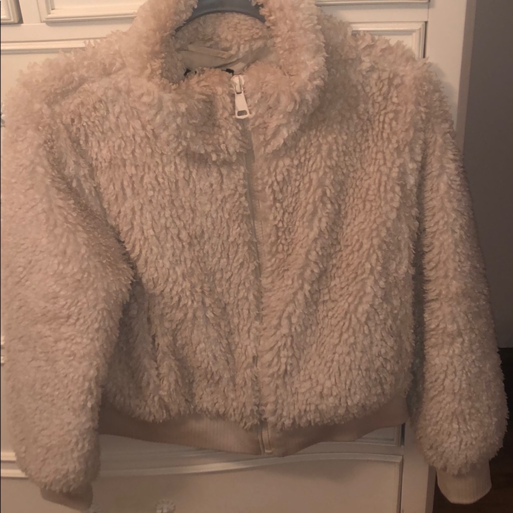 Zara Teddy Coat